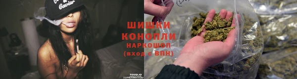 спайс Белокуриха