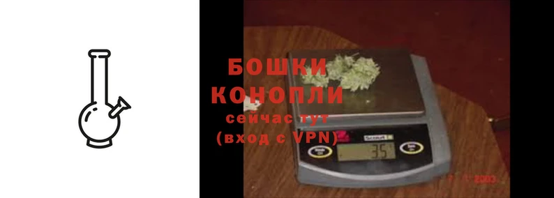 ПСИЛОЦИБИНОВЫЕ ГРИБЫ Белоозёрский