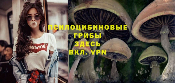 каннабис Беломорск