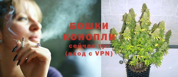 ПСИЛОЦИБИНОВЫЕ ГРИБЫ Белоозёрский