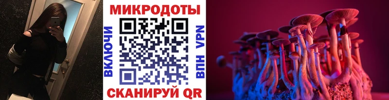 купить наркоту  Великий Устюг  Псилоцибиновые грибы мухоморы 